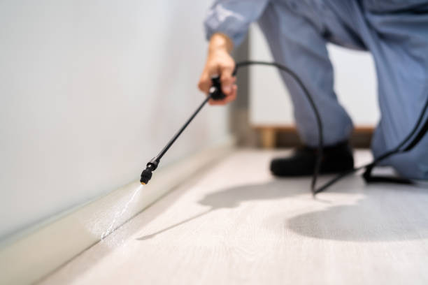Licensed Cockroach Control service in Hillsboro, IL - Nex Pest Control