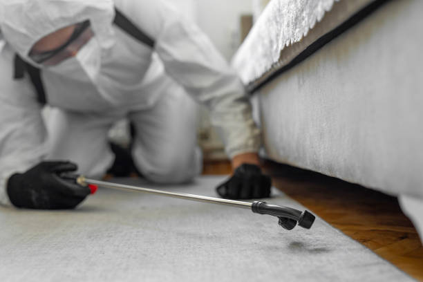 Professional Cockroach Control technician working in Hillsboro, IL