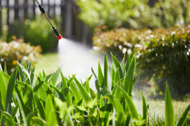 24/7 Emergency Cockroach Control experts in Hillsboro, IL