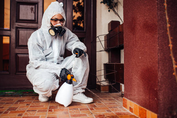 Reliable Cockroach Control contractor in Hillsboro, IL by Nex Pest Control