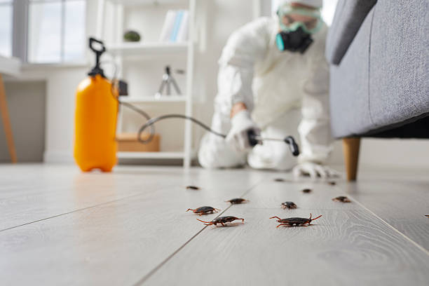 Trusted Fumigation Services service in Hillsboro, IL - Nex Pest Control